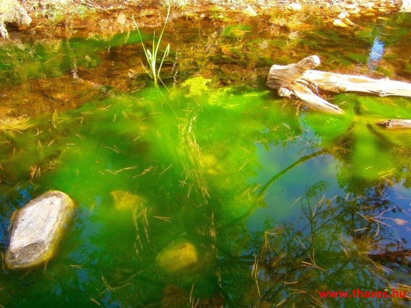 Az öreg falu, a vén platán és a folyók meséje